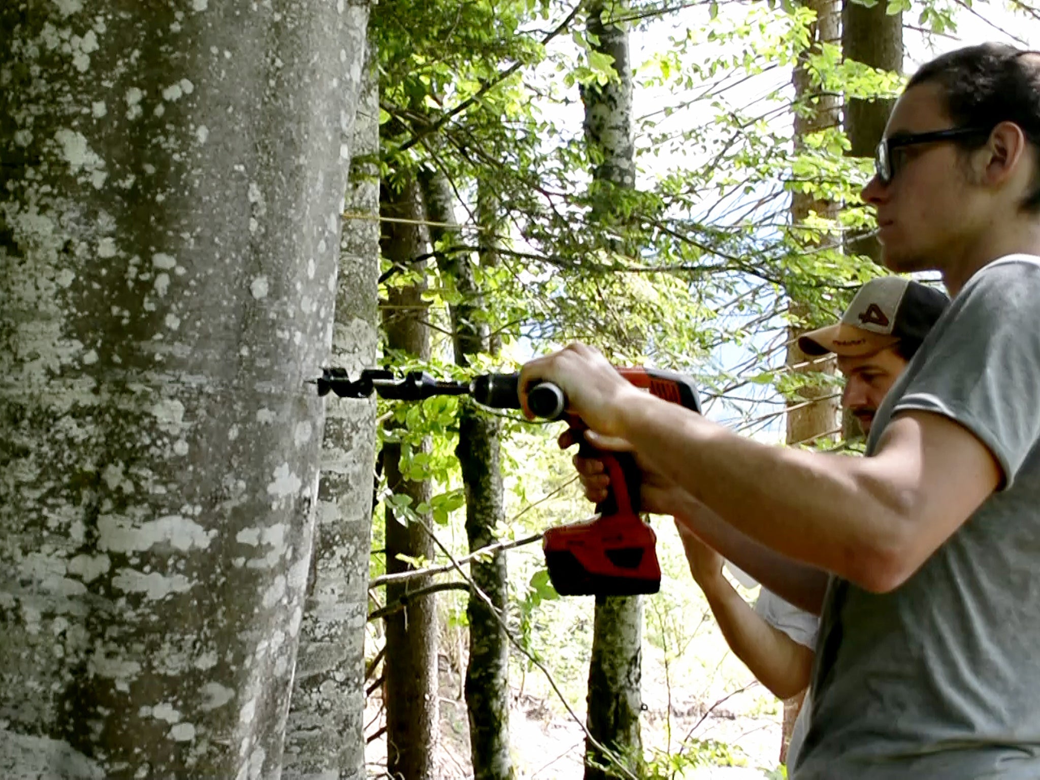 Bohrer für Montage GTS