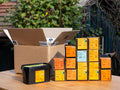 Holzschrauben-Paket – Baumhaus ESSENTIALS